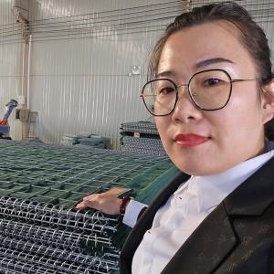 Wholesale 275 gsm zinc coated galvanized military bastion wall defensive barriers for safe protection wall from china suppliers