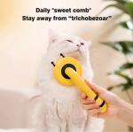 Wholesale High Quality Honey Bee Pet Grooming Brush Cat Hair Cleaning Comb For