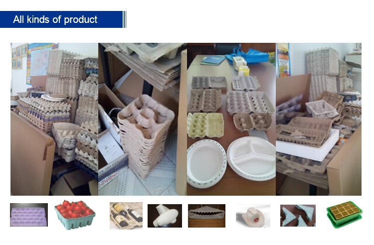 30-150KW Different Capacity Paper Egg Tray Production Line Egg Tray Machine with Advanced Technology and Low Energy Consumption
