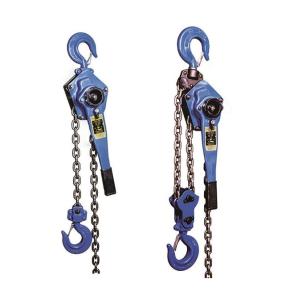Wholesale Chain Type Handle Hoist Chain Pulley Block For Tower Erection from china suppliers