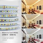 SMD 2835 Led Light Strip12V Intelligent Lighting One/three Color CCT Flexible