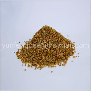 China Hot selling pine pollen powder wholesale bee pollen prices on sale