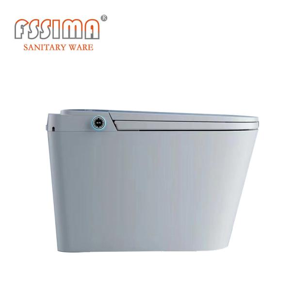 4.5L P Trap Smart Toilet Japanese With Bidet Wash Auto Siphon washdown