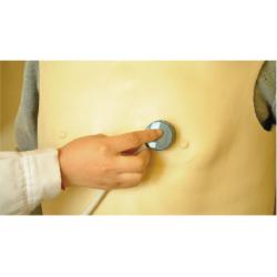 China Vest Type with Cardiopulmonary Auscultation Palpation Simulator Practising Model for sale