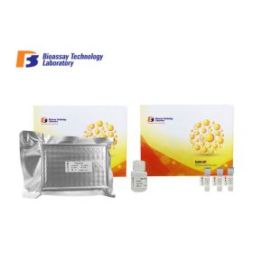 Wholesale Human Enzyme Immunoassay Kit GPR173 Probable G - Protein Coupled Receptor 173 from china suppliers