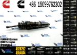 Diesel Fuel Injector 1529790 1846348 4062568 4088723 4954646 1846351 4954648