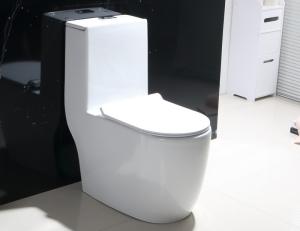 Wholesale Unique Modern Portable Single Piece Toilet Scratch Resistant from china suppliers