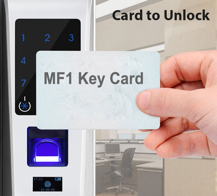 Custom Biometric Entry Door Lock , Password Smart Biometric Fingerprint Lock