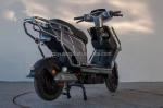 500w High Speed Electric Moped LCD Display 800W Motorcycle with Disc Brake