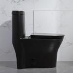 Ceramic Dual Flush Elongated One Piece Toilet Siphonic 2-1/8" Trap Double