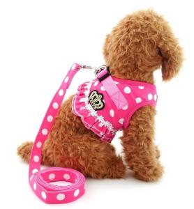 Wholesale Puppy Cat Small Girl Dog Dots Vest Harness Leash Set Mesh Padded No Pull Lead from china suppliers