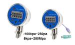 Digital Storage Water Pressure Gauge Battery Powered IP66 High Accuracy