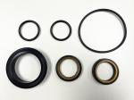 Oil Heat H2S Resistant Plug Valve Repair Kits -20-220 Celsius Degrees For Oil