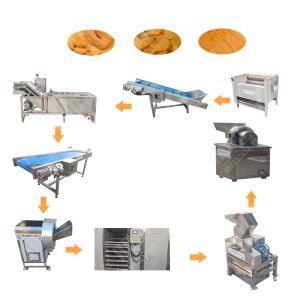 Washing Ginger Powder Machine From Peru With Ce Certificate