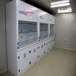 Eco-Friendly Chemical Fume Hood PP Fume Hoods with Low Noise for 220V Voltage