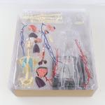 35cm Skeleton 60 Parts Human Anatomy Model Toy 4d Master Homeschool Education