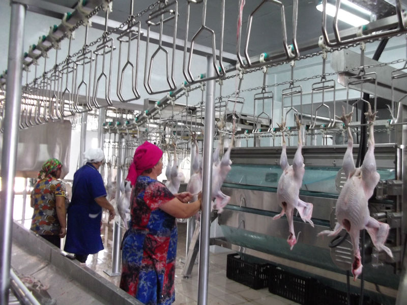 Custom Slaughtering Equipment Accessories Stainless Steel Poultry Evisceration Tools