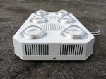 RikoLite 300W Full Spectrum LED Grow Light COB with UV for Indoor Farming Plants