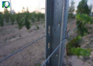 Wholesale Galvanised 50x40MM Vineyard Trellis Posts For Big Wine Garden from china suppliers
