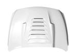 High Strength FRP Hood Exterior Panels ROHS And EU REACH Approved