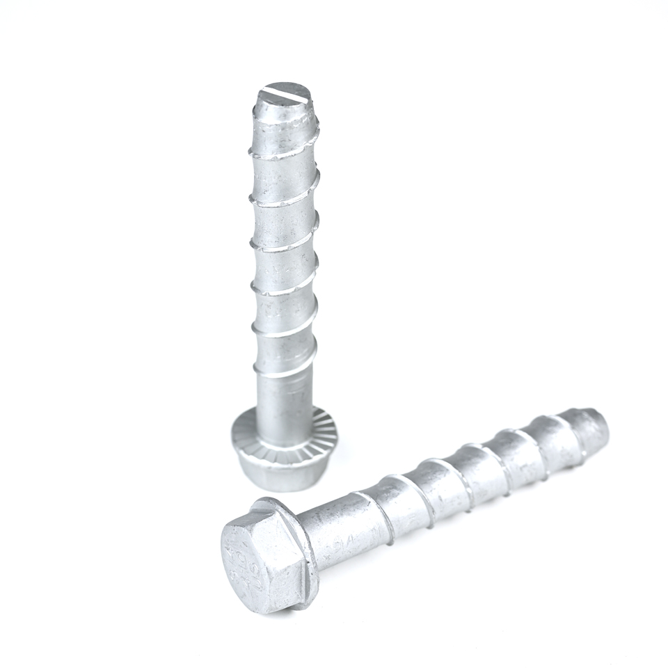 Long-lasting and Stainless Steel Hexagonal Concrete Bolt Anchor for Facade Suspension