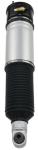 37126758573 Air Suspension Parts Air Suspension Strut