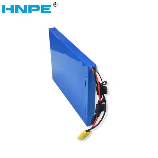 UNIT PACK POWER Hailong Ebike Battery E-BIKE La Batterie 24V 36V 48V 52V 10AH