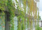 7x19 Green Wall Mesh