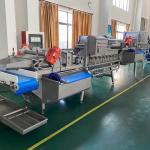 380v 2000kg/H Fruit Leaf Vegetable Washing Machine