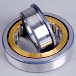 Full Complement Cylindrical Roller Bearings NJ205 NJ220 NJ200 Series