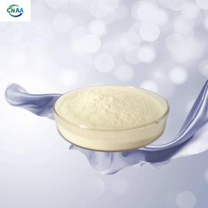 Wholesale Hydrolyzed Silk Amino Acid 90% Silk Protein For Body Care Silk Powder from china suppliers