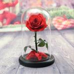 Wholesale New Design Preserved flower Eternal Rose in Glass Home Decoration