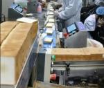 500kg/H 304 Stainless Steel Automatic Toast Production Line