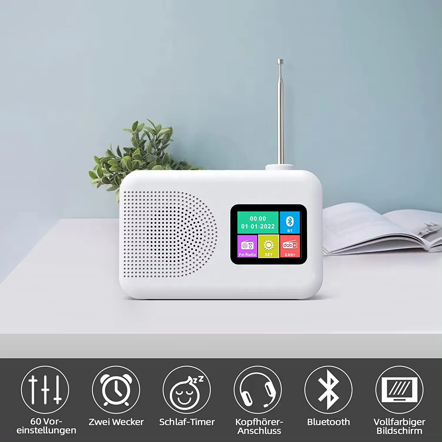 Private Mold Portable DAB/DAB FM Radio with Speaker and TFT Display AC Power Operated
