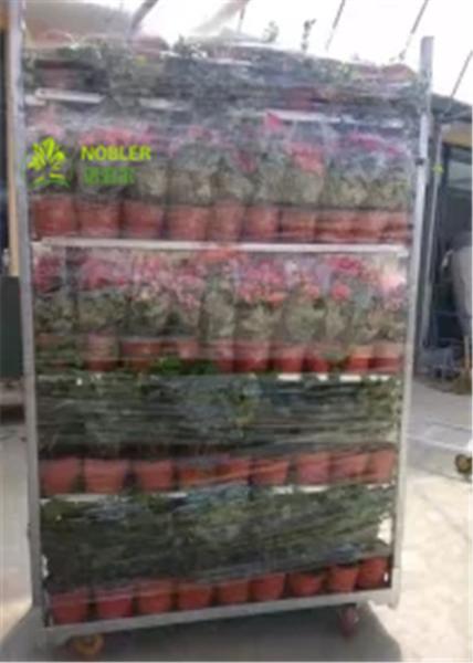 N1350 Danish Trolley Shelves Flower Trolleys for Netherlands , Garden Flower