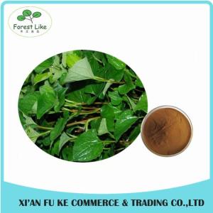 Wholesale Natural Houttuynia Cordata Extract Powder 10 : 1 from china suppliers