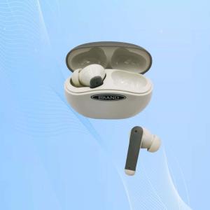 Wholesale 110dB Invisible In The Canal Hearing Aids With Noise Suppression 200Hz - 7500Hz from china suppliers