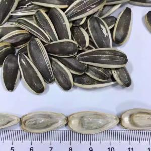 Wholesale High Quality Roasted Salted Sunflower Seeds Sunflower Seeds Kernel Style Salty Flavor from china suppliers