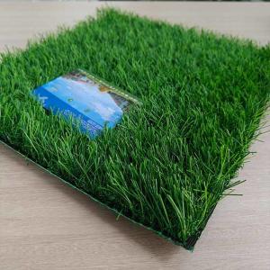 Wholesale Straight Plus Curved Non Infill Artificial Turf 43mm Low Maintenance Wear Resistant High Permeablity from china suppliers