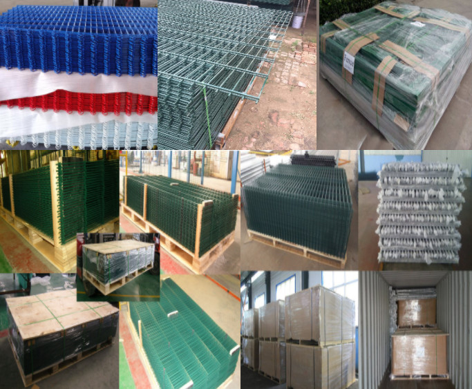 Ornamental 1m Height Double Loop Wire Fence Metal Welded Mesh Gardens 8/6/8mm