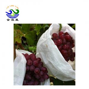 Pp Non Woven Anti Insect 35gsm Fruit Protection Net Bags