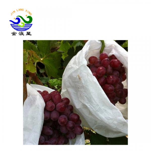 Quality Pp Non Woven Anti Insect 35gsm Fruit Protection Net Bags for sale