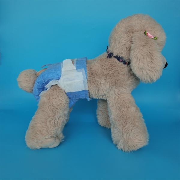 Disposable Dog Diapers Cloth-Like Film or PE Film Backsheet for Eco-Friendly Pet