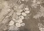 Off White Mesh 3D Flower Embroidery Beaded Lace Fabric 50" Wide 1 Yard