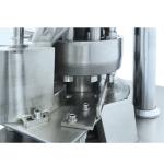 66000pcs/H Salt Naphthalene Ball Tablet Press Machine