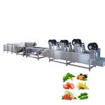 Sugarcane Banana Avocado Ginger Onion Sweet Potato Vegetable Washing Machine