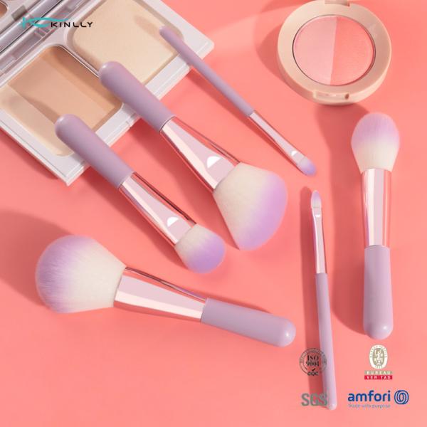 6PCS Mini Gift Makeup Brush Set Cosmetic Brush Set With Two Colors Synthetic