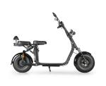 EcoRider 1500W 18*9.5 inch 2 Wheel Electric Scooter , Harly double seat scooters