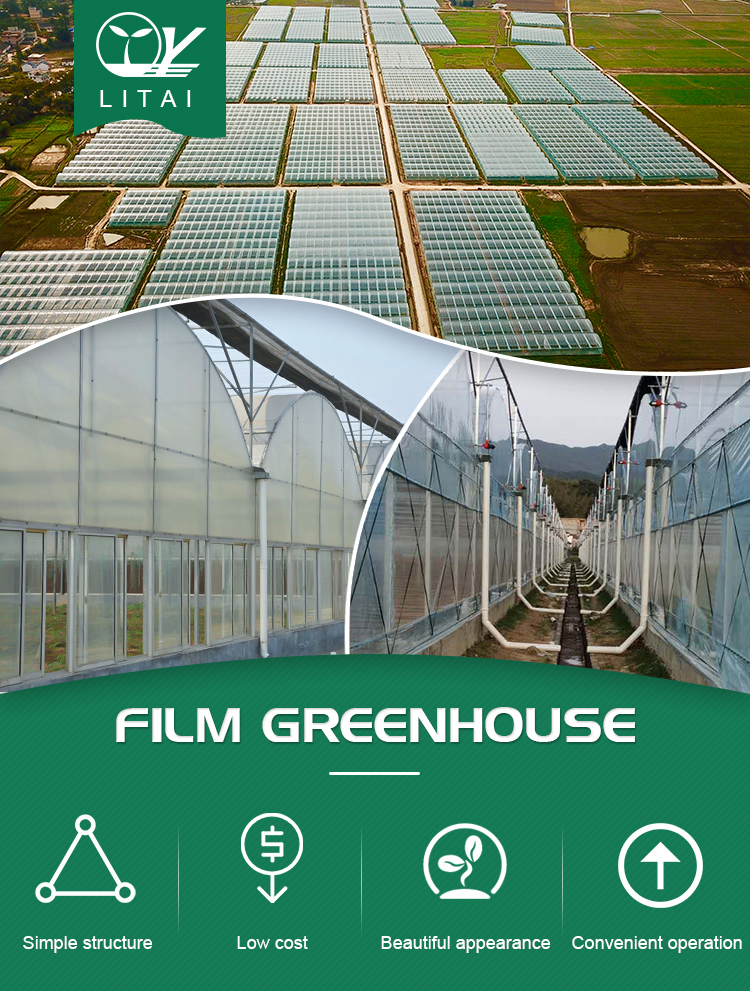 95% Transmittance Agricultural Plastic Film Greenhouse With Film Cover Material