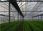 Venlo Tempered Glass Greenhouse Durable With Hydroponic Growing System
